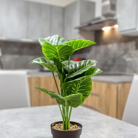 Wonderful 2br Home, W/ Comfy Sofa, Smart Tv & Wifi By 360 Estates Apartament *